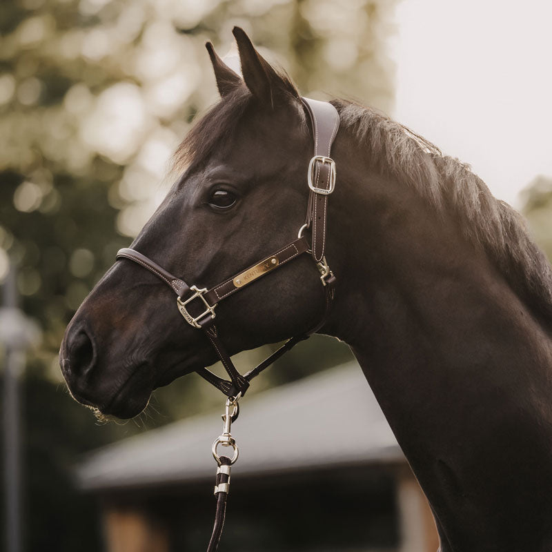 Kentucky Anatomic Leather Head Collar (Artificial)