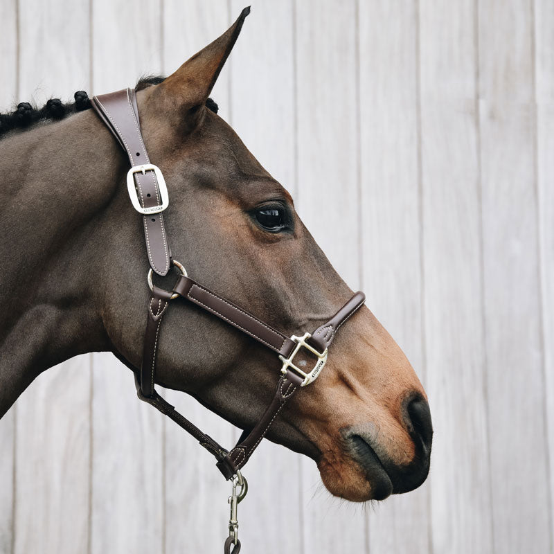 Kentucky Anatomic Leather Head Collar (Artificial)