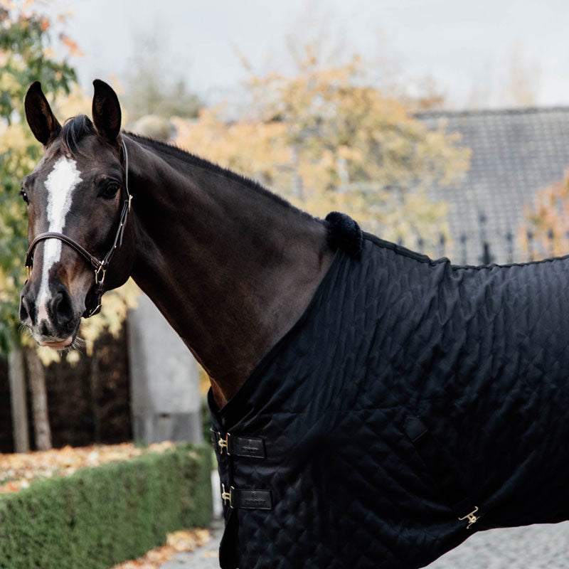 Kentucky Horsewear Stable Rug 0g