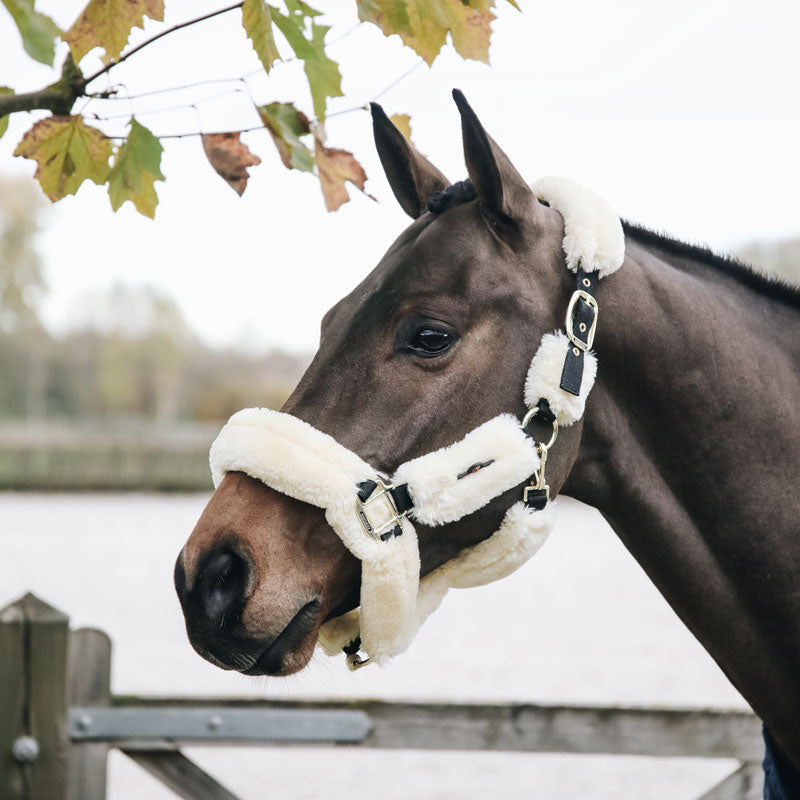 Kentucky Luxurious Sheepskin Headcollar (Artificial)