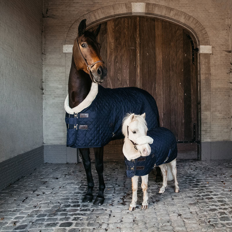 Kentucky Horsewear Show Rug