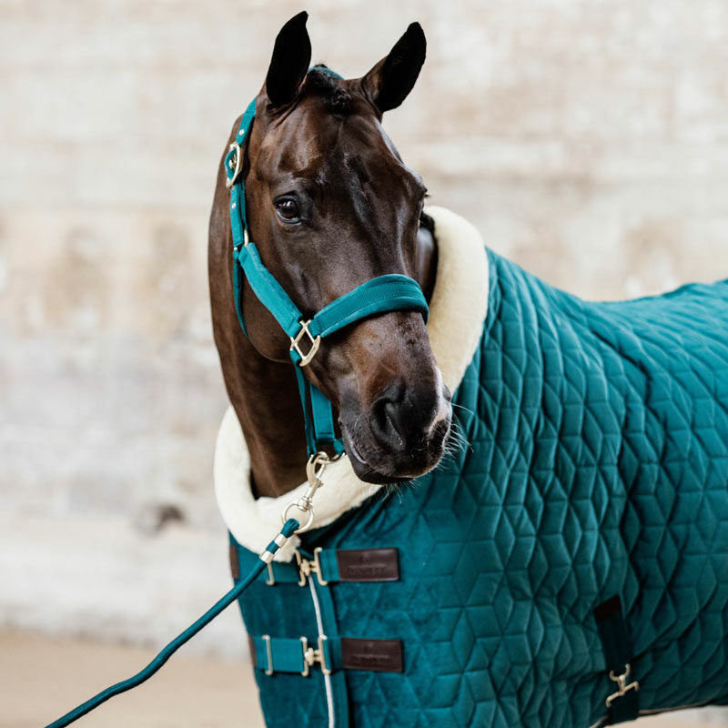 Kentucky Velvet Show Rug