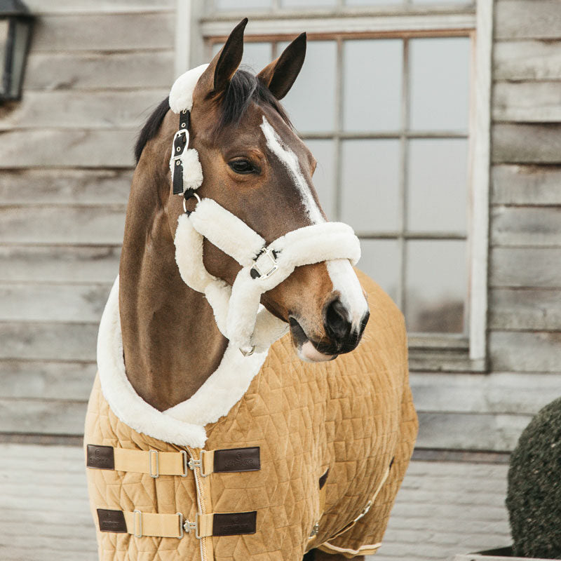 Kentucky Velvet Show Rug