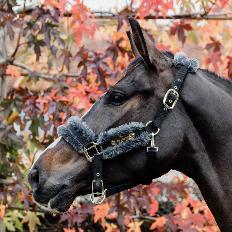Kentucky Nylon Artificial Sheepskin Headcollar