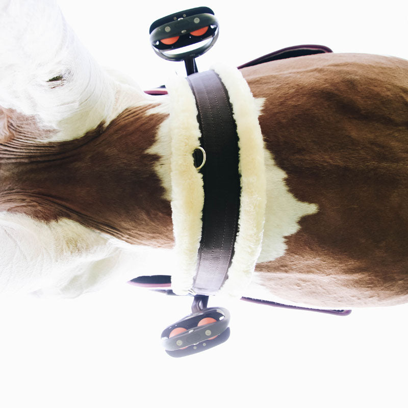 Kentucky Horsewear Sheepskin Elasticated Girth (Artificial Sheepskin)