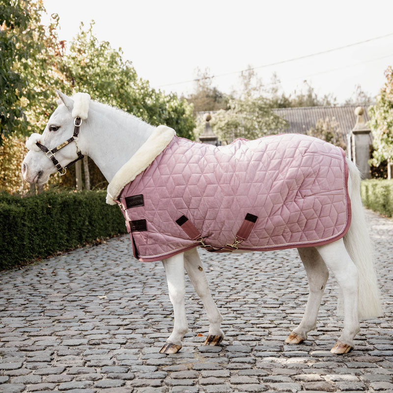 Kentucky Velvet Show Rug