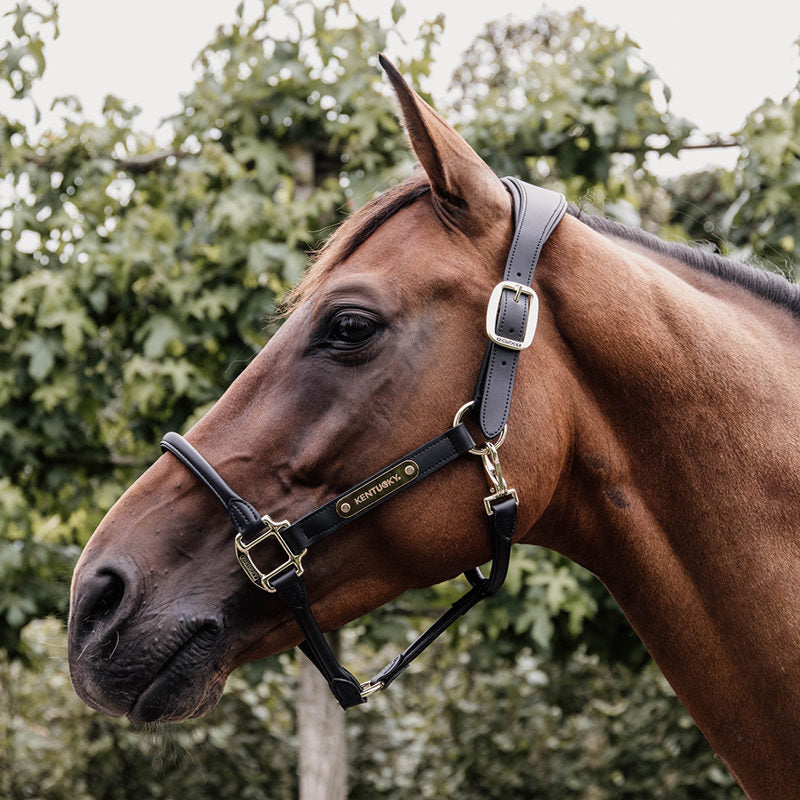 Kentucky Anatomic Leather Head Collar (Artificial)