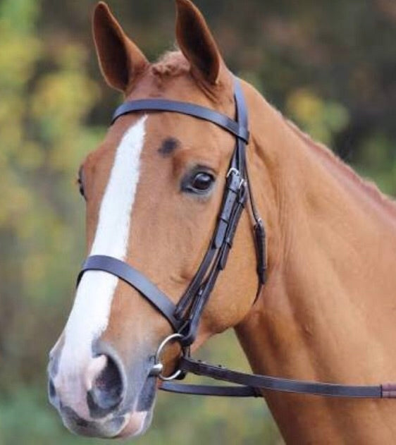 Shires aviemore plain bridle