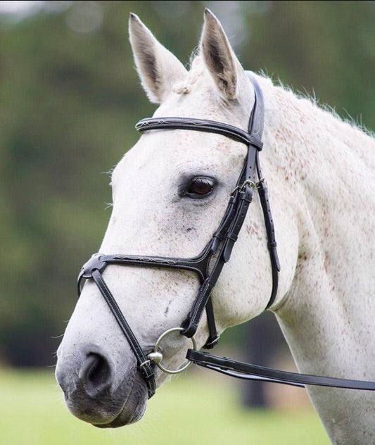 SHIRES AVIGNON GRACKLE BRIDLE 3922
