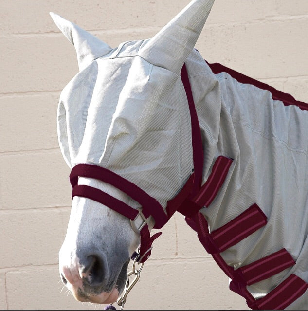 HY fly rugs with FREE fly mask