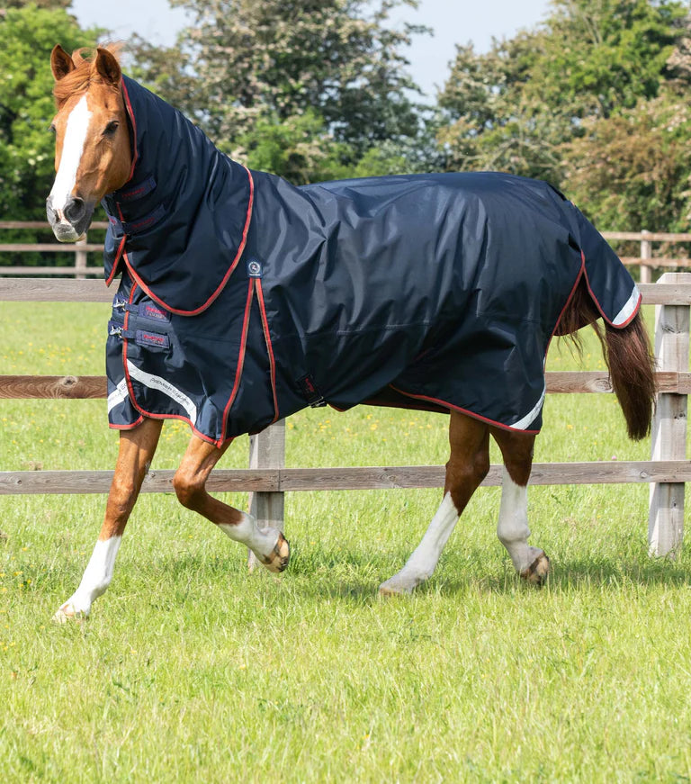 Buster 150g Turnout Rug with Classic Neck Cover