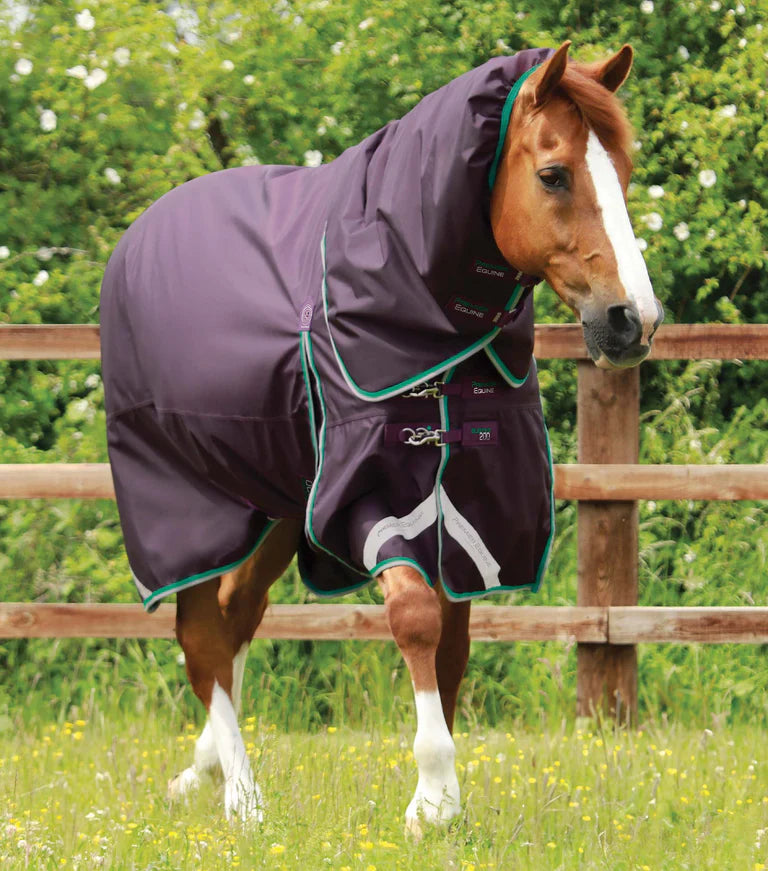 Buster 200g Turnout Rug with Snug-Fit Neck Cover Green