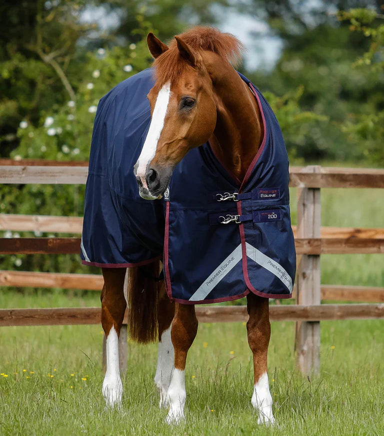 Titan 200g Original Turnout Rug Purple