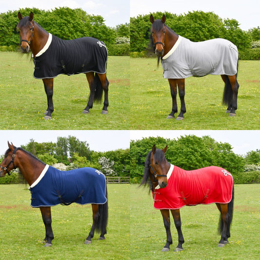 Rhinegold show rug