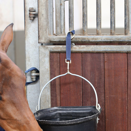Kentucky Horsewear Nylon Hook and Ring Strap