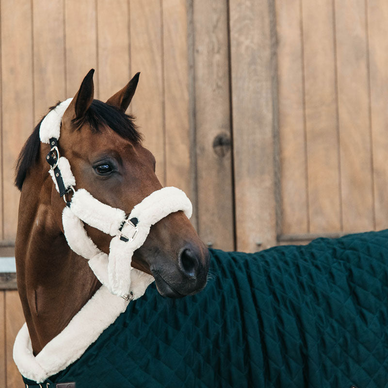 Kentucky Horsewear Show Rug