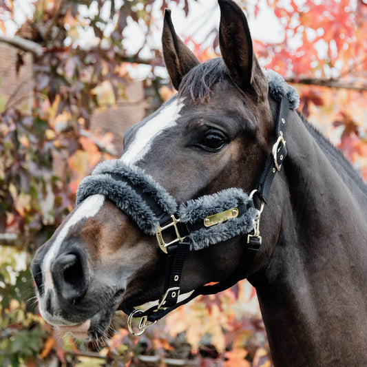 Kentucky Nylon Artificial Sheepskin Headcollar