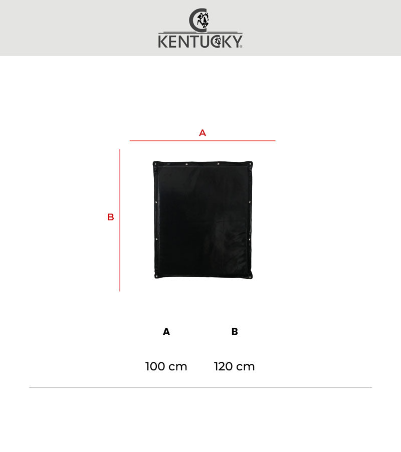 Kentucky Stable and Trailer Kick Mat
